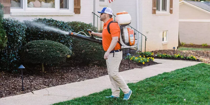 TruMosquito tech spraying home exterior shrubs