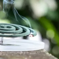 mosquito coil emitting smoke
